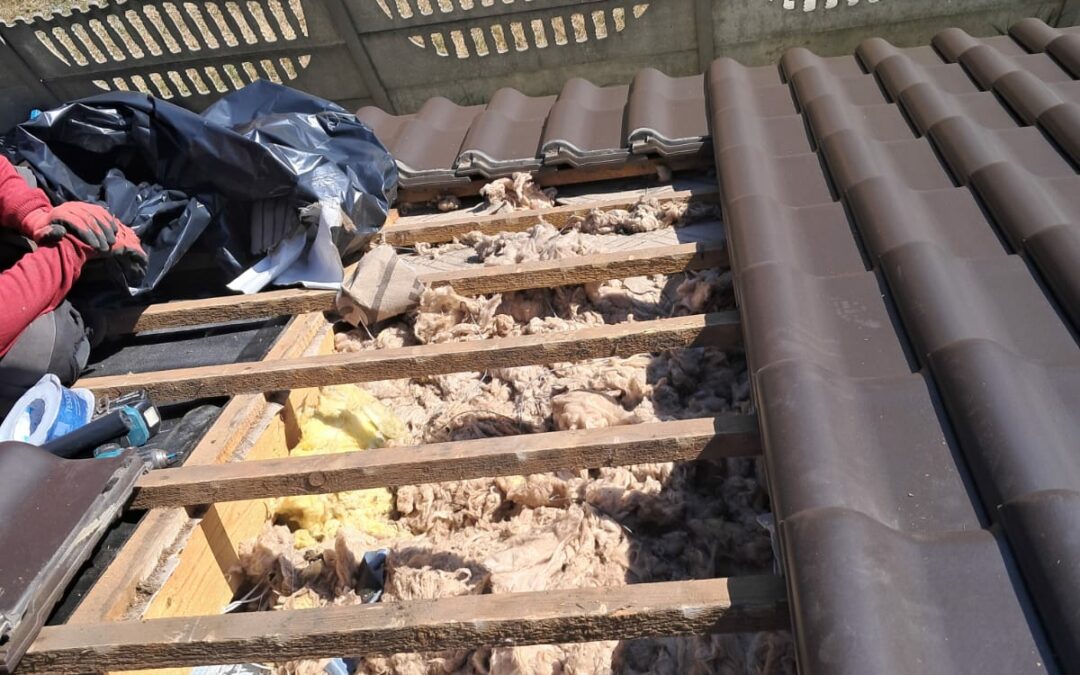 naprawa dachu po kunie. zniszczenia w wełnie do ocieplenia