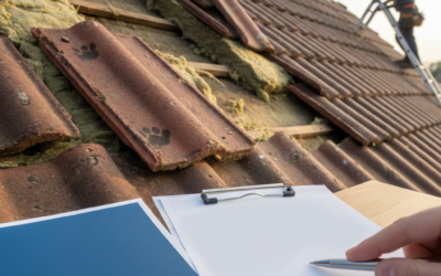 Naprawa dachu po kunie a ubezpieczenie